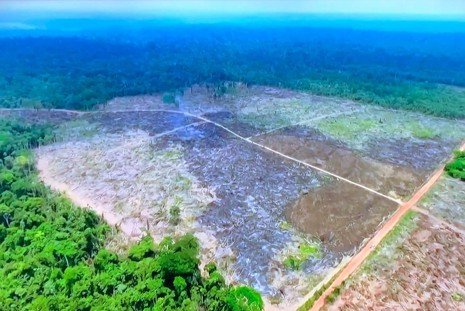 Chances de um colapso social irreversível dentro 40 anos é de 90%