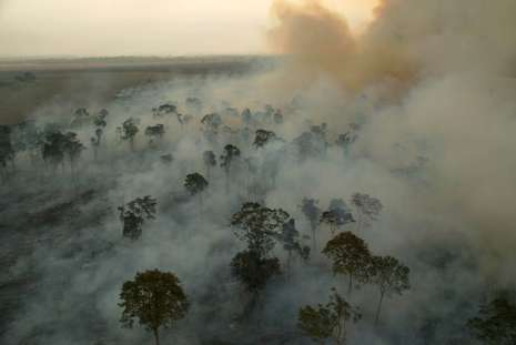 Desmatamento na Amazônia em 2020 pode superar o recorde alcançado em 2019