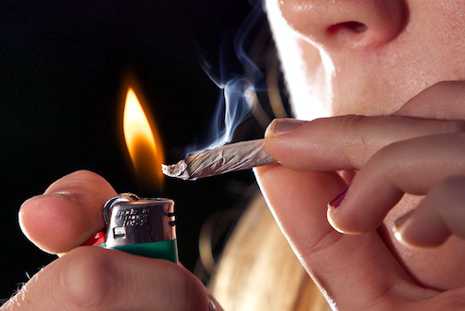 Agronegócio não inclui maconha, diz Bolsonaro